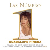 Las Numero 1 de Guadalupe Pineda artwork