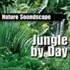 Stream & download Jungle By Day (Nature Sounds Only)