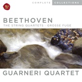 Guarneri Quartet - Allegro