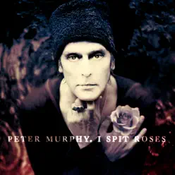 I Spit Roses / The Prince & Old Lady Shade - Single - Peter Murphy