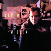 David Wilcox - New World