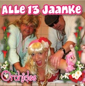 Dj Theo V/d Berg34 Alle 13 Jaanke - In Ons Dafke