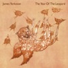 James Yorkston & The Big Eyes Family Players - Woozy With Cider