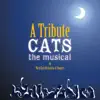 Cats - the Musical - a Tribute ! album lyrics, reviews, download
