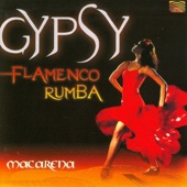 Gypsy Flamenco Rumba artwork