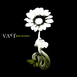 Music for People - Vast