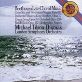 Michael Tilson Thomas - Elegischer Gesang, Op. 118