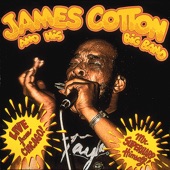 James Cotton - Hard Headed