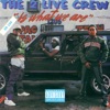 The 2 Live Crew Is What We Are