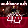 40th Anniversary Concert - Live In London