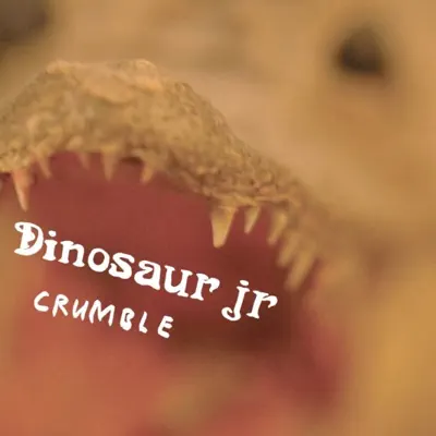 Crumble - Single - Dinosaur Jr.