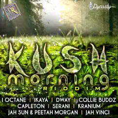 Kush Morning by Various Artists album reviews, ratings, credits