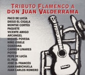 Tributo Flamenco a Don Juan Valderrama artwork