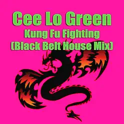 Kung Fu Fighting (Black Belt House Mix) - Single - Cee Lo Green