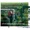 Whole Wide World 4 England by Wreckless Eric