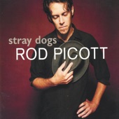 Rod Picott - Stray Dogs