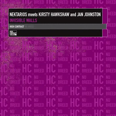 Invisible Walls - Kirsty Hawkshaw