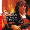 Flaming Flamenco (Remastered)