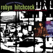 Robyn Hitchcock - I'm Only You - Live