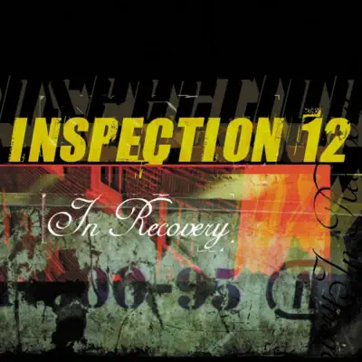 In Recovery - Inspection 12