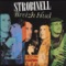 Beleg Gwegan Ha Kloareg Morego - Strobinell lyrics
