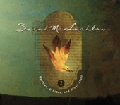Sarah McLachlan - Blackbird