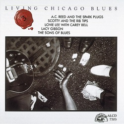 The Sons Of Blues - Have You Ever Loved a Woman?