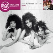 The Pointer Sisters - Could I Be Dreamin'