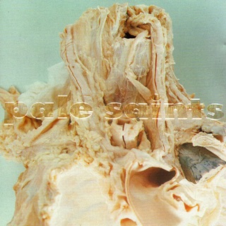 Pale Saints On Apple Music