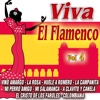 Viva El Flamenco Vol.4