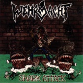 Shark Attack, 1991