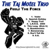 The Taj Motel Trio - Skankenstein