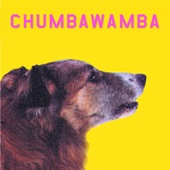 Chumbawamba - Dumbing Down