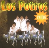 Los Potros - El Libro de los Dioses