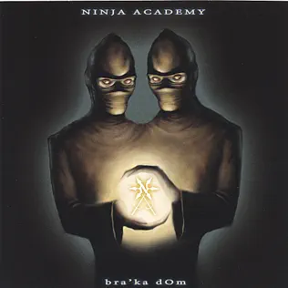 télécharger l'album Ninja Academy - Braka dOm