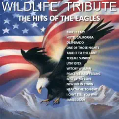 A Tribute to the Hits of the Eagles by Wildlife album reviews, ratings, credits