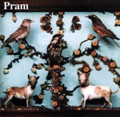 Pram - Mother of Pearl