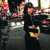 The Mess We're In by PJ Harvey