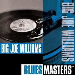 Blues Masters: Big Joe Williams by Big Joe Williams album reviews, ratings, credits