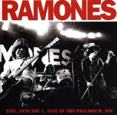 Ramones - Surfin' Bird