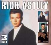 Rick Astley - Whenever You Need Somebody