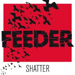 Shatter - EP - Feeder