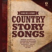 Country Story Songs (Rerecorded Version) artwork