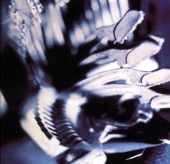 Writers Without Homes