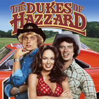 The Dukes of Hazzard - The Dukes of Hazzard, Season 2 artwork