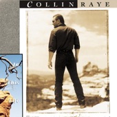 Collin Raye - In This Life (Album Version)