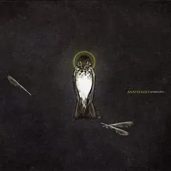 Sparrows - EP - Anathallo