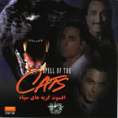 Spell of the Cats - Afsoone Gorbehaye Siah by Black Cats album reviews, ratings, credits