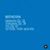 Stream & download Beethoven: 3 Trios - Serenata Op. 25, Variazioni Op. 28, Trio Op. 87 (flauto violino e viola)