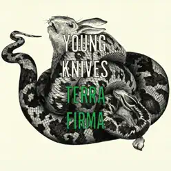 Terra Firma - Single - Young Knives